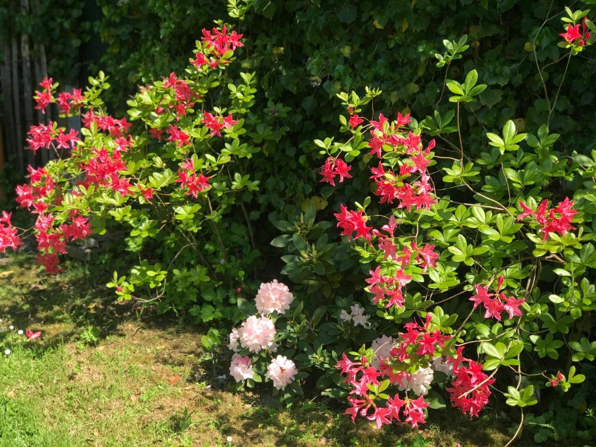 Chambre D'Hotes "Coquelicot" Nurlu Ngoại thất bức ảnh